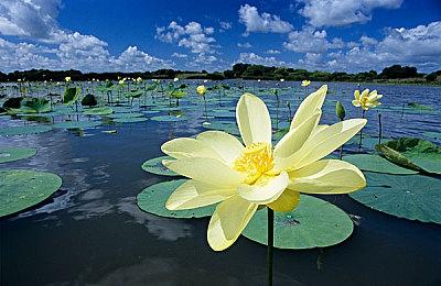 《战地2042》第二个更新上线 气垫船被削弱