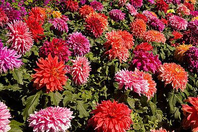 《毁灭战士》创作人约翰·罗梅罗将获GDC终身成就奖